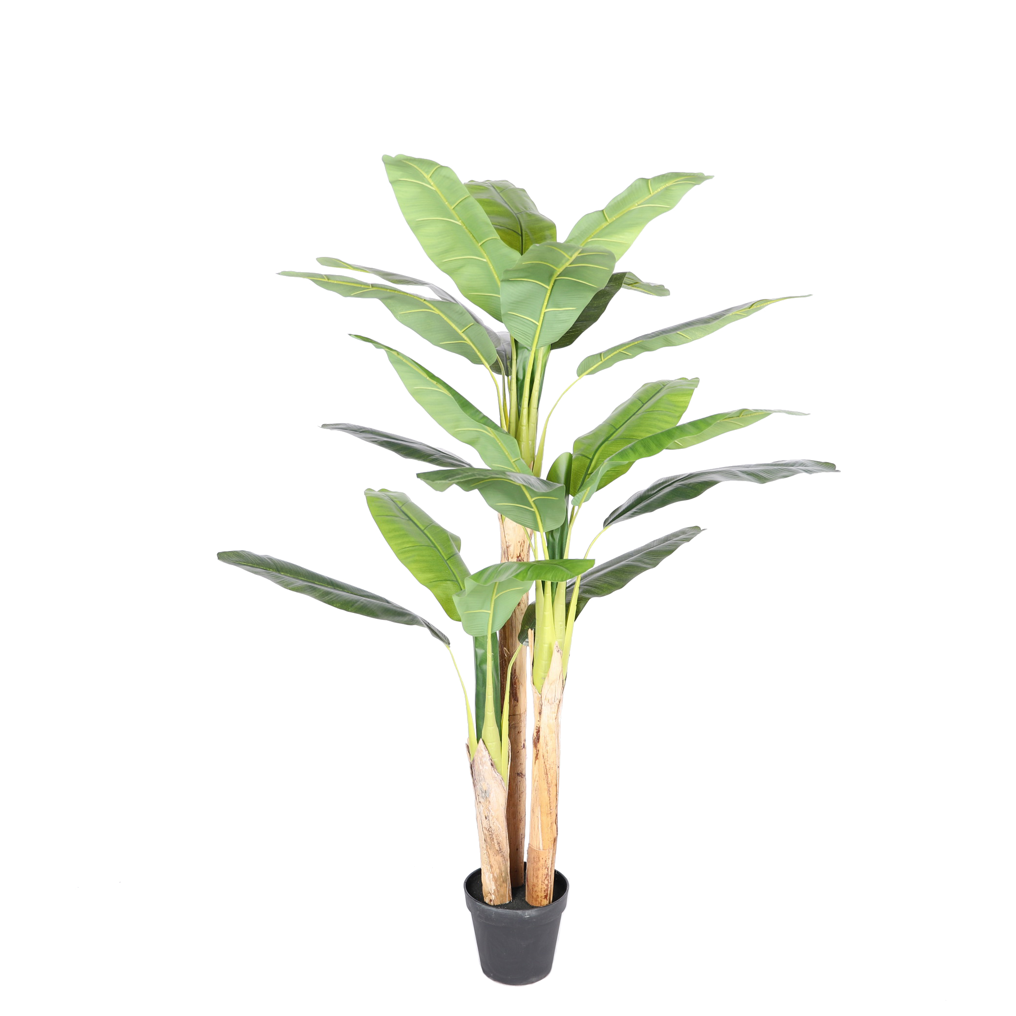 200 ซม. พร้อมไม้จริง