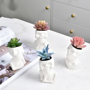 Maceta de Cerámica JM con Forma de Calavera, Pequeña Maceta de Dibujos Animados Blanca para Plantas Suculentas, Bonsáis, Decoración para Hogar, Jardín y Oficina - Product Image 3