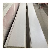 Diseños de Techo de PVC de 20 cm para Dormitorio, Maldivas, Indonesia, Filipinas