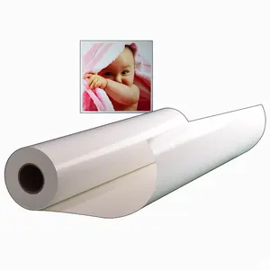 Adesivo de papel fotográfico em rolo para o atacado do fabricante, autoadesivo resistente à água, mais vendido, OEM, ODM e OBM fosco