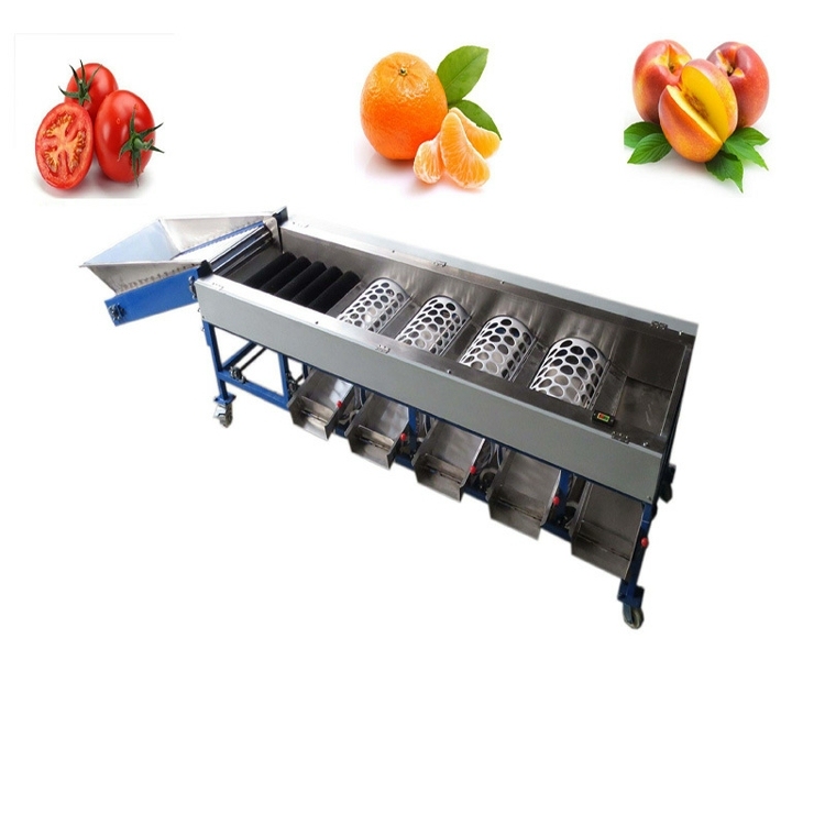 Fruit and Vegetable Classifier Machine Ball