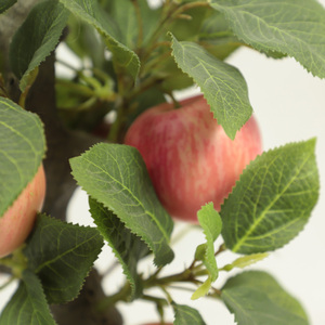 Nhà Máy Bán Buôn trong nhà Mini Bonsai Cây Táo cây nhân tạo nhựa cây ăn quả cây táo - Product Image 2