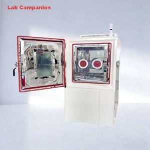 Cámara de Prueba de Temperatura y Humedad Tipo Guante de 252L con Certificación ISO CE, Solución Personalizada - Product Image 4