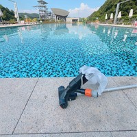 Kit de nettoyage de piscine, aspirateur de piscine, modèle carré noir, petit modèle, manche en aluminium détachable, adapté aux piscines, aux étangs à poissons