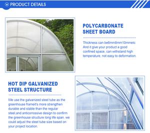 Essiccatore solare economizzatore d'energia dell'alimento per la macchina dell'essiccatore della carne del pesce della frutta della verdura da vendere - Product Image 5