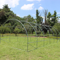 Petite serre en polytunnel