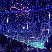 Guirlandes lumineuses LED ciel étoilé pour extérieur 220V IP44 étanches, décorations de Noël, de jardin et de fête, vente en gros