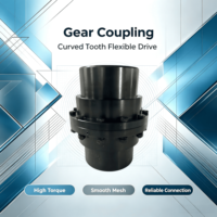 Accouplement à dents en acier GIICL robuste SFS, structure à soufflets métalliques, couple élevé, rotation stable, garantie 1 an, OEM