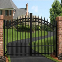 Control remoto de seguridad Auto Gate House Popular Home Garden European Garden Valla de jardín Entrada Diseños principales de metal Hierro forjado fundido
