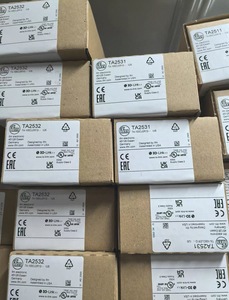 IFM TA2502/TA2511/TA2512/TA2532/TA2531 <b>Temperature</b> Sensors Made in Germany - Product Image 2