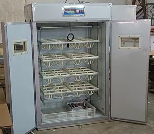 Mini Incubadora Automática de PVC con Energía Solar/Batería/Dual, Capacidad de 68/136/204/272/340 Huevos, Incubadora Inteligente, Precio de Fábrica - Product Image 6