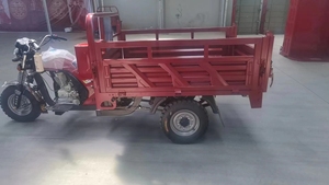 <span class=keywords><strong>Moto</strong></span> Tricycle Docker Robuste à 3 Roues pour Fret, à Essence, 150CC 200CC 250CC - Product Image 2