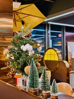Großhandel Mini-Weihnachtsbaum Dekorationsartikel Wohndekor Luxusartikel Geschenke 10-30cm Hoch PVC Tischdekoration MC002-W