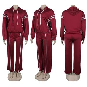 ZHEZHE модная Осенняя уличная одежда для женщин, продавец одежды, длинный рукав, топ с капюшоном и брюки, комплект из 2 предметов - Product Image 2