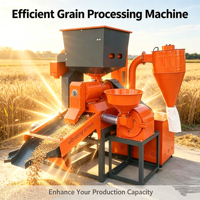Machine à décortiquer et blanchir le riz combinée robuste, version moteur diesel, avec fonction de retrait des pierres