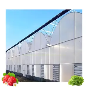 价格便宜的多跨单跨农业农场隧道塑料薄膜温室蔬菜/花卉/番茄/花园