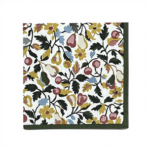 Serviettes <span class=keywords><strong>en</strong></span> <span class=keywords><strong>papier</strong></span> personnalisées écologiques 2 plis <span class=keywords><strong>en</strong></span> pâte de bois vierge, imprimées motifs floraux et plantes, motif ballons colorés, <span class=keywords><strong>forme</strong></span> carrée, style sac - Product Image 1