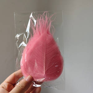 Daun Linden kering dengan pembuluh bunga dan daun untuk bookmark atau kerajinan tangan 100 buah per tas untuk dekorasi rumah atau pernikahan - Product Image 2