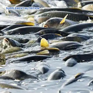 Suplemento Nutricional para Acuicultura y Alivio del Estrés - Calcio/Magnesio + Probióticos + Aminoácidos - Aumenta la Supervivencia y la Absorción de Alimentos - Product Image 4