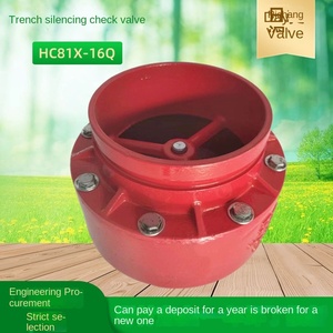 Rãnh Muffler kiểm tra van HC81X-DN65 gang mùa xuân kẹp lửa kiểm tra van cho nước 300 mét cổng Kích thước thủy lực - Product Image 2