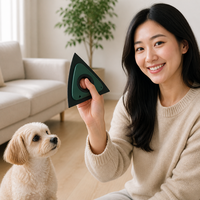 Grattoir anti-poils pour animaux de compagnie pour canapé, siège de voiture, matelas, coutures – Brosse à peluches réutilisable pour animaleries, vendeurs d'articles ménagers, vente en gros