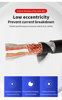 Cable de Alimentación para Ordenador con Certificación CE/UL, Alto Rendimiento, DJYP2VP/DJYPVR/DJYP2VP2-22, Retardante de Llama, Ignífugo, Blindado Estándar