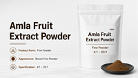 Poudre d'extrait de fruit d'Amla à base de plantes, riche en vitamine C, qualité alimentaire, emballage sous vide en fût, vente en gros usine GMP