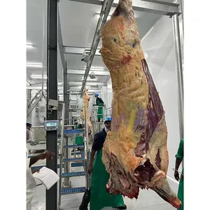 Os Rundvlees Slachtlijn Complete Koeienslachtmachine Veeslachtproductielijn Van Wfa-Fabriek