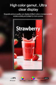 43 pouces moins bruyant anti-éblouissement 4K Webcam IP67 / IP66 signalisation numérique extérieure - Product Image 6