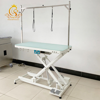 EUR Table de toilettage électrique réglable pour animaux de compagnie Table de toilettage pour grands chiens Table professionnelle portable pour animaux de compagnie