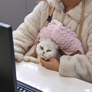 กระเป๋าเป้สะพายหลังรูปทรงไข่ออกแบบให้อบอุ่นสำหรับสัตว์เลี้ยงมีมือจับด้านหน้าสำหรับสุนัขและแมวใช้งานกลางแจ้ง - Product Image 6