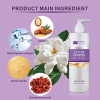 Shampooing Capillaire Violet 500ml à l'Acide Aminé – Sans Dommage pour les Cheveux, Anti-Jaunissement, Éclaircissant pour Soins Après Décoloration et Teinture – Marque Privée