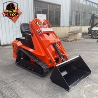 Mini-chargeuse sur chenilles conforme aux normes CE EPA, moteur diesel Kubota, pompe hydraulique, chargeur frontal, équipement de terrassement