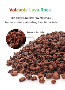 Aggregato di Roccia Lavica ROSSA Premium <span class=keywords><strong>per</strong></span> <span class=keywords><strong>Terriccio</strong></span> Bonsai <span class=keywords><strong>e</strong></span> <span class=keywords><strong>Piante</strong></span> <span class=keywords><strong>Grasse</strong></span> <span class=keywords><strong>e</strong></span> Cactus - Product Image 4