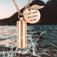 Pendentif Cylindre en Acier Inoxydable pour Cendres d'Animaux de Compagnie, Collier Commémoratif de Crémation pour Hommes et Femmes, Bijou Tendance, Vente en Gros