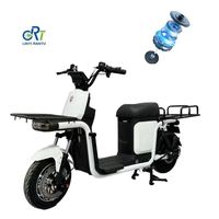 Vélo cargo électrique élégant à prix avantageux 1000W pour la vente en gros
