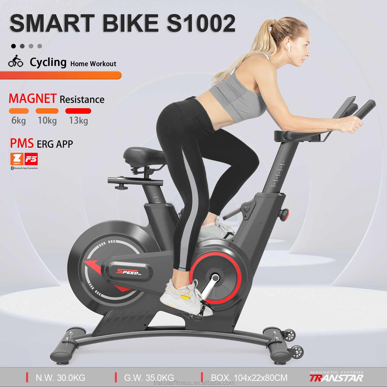 Home Gym Fitness Bicycle Compact Magnetic Spinning Bike Cardio