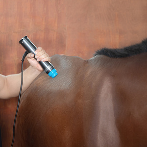 Dispositivo professionale di fisioterapia dell'onda d'urto di Eswt 60mj-210mj per uso della clinica - Product Image 2