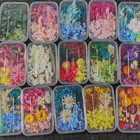 Promo! Bahan Bunga Kering DIY, Bunga Asli Kering Alami untuk Lilin Resin