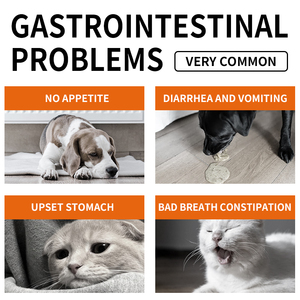 Probióticos Masticables Suaves Personalizados <span class=keywords><strong>al</strong></span> por Mayor para Mascotas, Probióticos para la Digestión y la Salud Intestinal en Perros y Gatos OEM ODM - Product Image 2