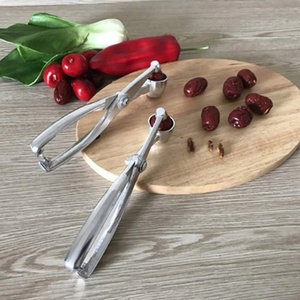 Décortiqueur de cerises et d'olives en acier inoxydable, outil de cuisine manuel pour enlever les noyaux de fruits, facile à nettoyer - Product Image 5