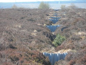 Top Quality <b>PVC</b> <b>Plastic</b> <b>Sheet</b> Pile Weather Resistant Easy to Install for Water Management and Levee Construction - Product Image 3