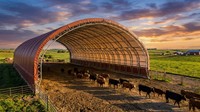 Livraison gratuite OEM ODM Steel Aircraft Hangar Ignifuge Résistant au vent Imperméable PVC Tente Bois Aluminium PVC Enduit Carports