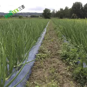 Agriculture Biodegradable Mulch Fim 10 Micron Black Soil Compostable Mulching Film 4*4000ft