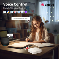 ZigBee Socket Energy Monitor Double Smart 1-3 frame Meter Sockets Google Smart Life App Alexa EU Plástico Blanco