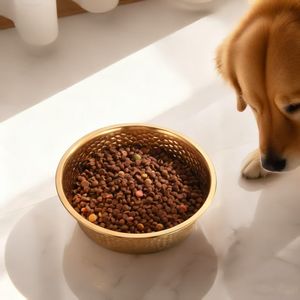 זהב יוקרה מפתח זהב פלדת אל-חלד קערת מזון בגדלים שונים לכלבים חתולים קל ניקוי קל מזין לחיות מחמד דפוס מוצק - Product Image 5