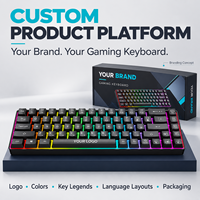Clavier de jeu mécanique filaire à 68 touches avec logo personnalisé, rétroéclairage RVB, interrupteurs interchangeables à chaud et câble USB-C détachable