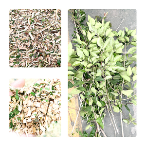 Déchiqueteuse d'herbe/maranta Arundinacea/<span class=keywords><strong>casava</strong></span>/casawa électrique et diesel - Product Image 4