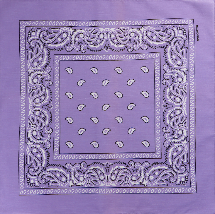 Viola