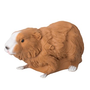 Cible de tir 3D en mousse PU pour <span class=keywords><strong>cochon</strong></span> d'Inde, entraînement de tir en extérieur pour Cavia Procellus, pour arc classique et arc à poulies - Product Image 1